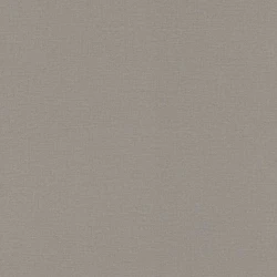 Обои Rasch Lirico 555875