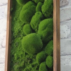 Панно из мха AF камешки во мху 20х60