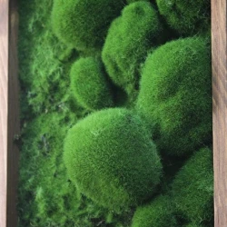 Панно из мха AF камешки во мху 20х60