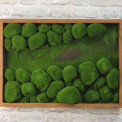 Панно из мха AF камешки во мху А2