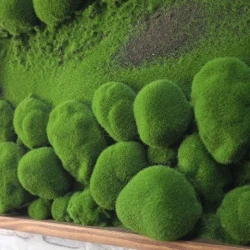 Панно из мха AF камешки во мху А2