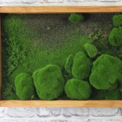 Панно из мха AF камешки во мху А3