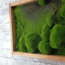 Панно из мха AF камешки во мху А3