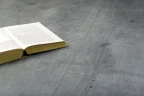 Ламинат Кронопол / Kronopol Paloma Platinium D1038 Millenium Concrete на otdelka1.ru