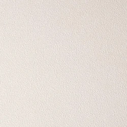 Обои NC Color 4060-060