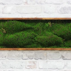 Панно из мха AF мох в песке 20х60