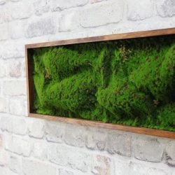 Панно из мха AF мох в песке 20х60