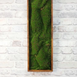 Панно из мха AF мох в песке 20х60