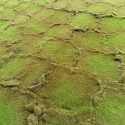 Искусственный мох AF бугры дизайн № 6