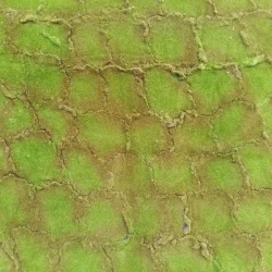 Искусственный мох AF бугры дизайн № 6