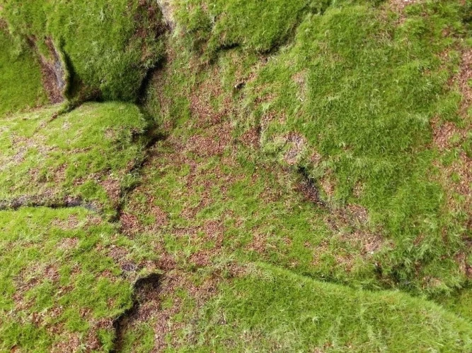 Искусственный мох AF горный дизайн №18 на otdelka1.ru