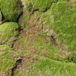 Искусственный мох AF горный дизайн №18