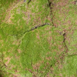 Искусственный мох AF горный дизайн №18