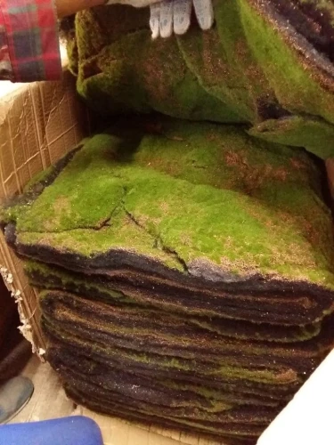 Искусственный мох AF горный дизайн №18 на otdelka1.ru