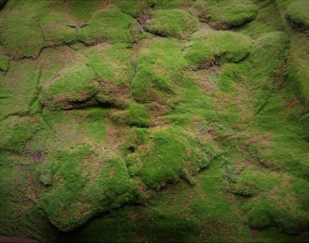 Искусственный мох AF горный дизайн №18 на otdelka1.ru