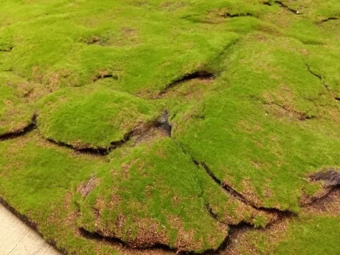 Искусственный мох AF горный дизайн №18 на otdelka1.ru