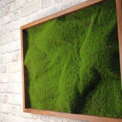 Панно из мха AF мох в песке А2