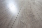 Кварц-виниловая плитка Damy Floor Family клеевая Дуб Белый на Otdelka1.ru