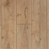 Ламинат Kastamonu Floorpan Amber FP1102 Дуб Раушен на Otdelka1.ru