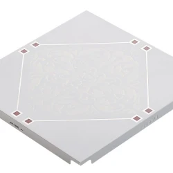 Кассета потолочная Туодели / Tuodeli D1-2