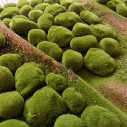 Искусственный мох AF камушки дизайн № 12