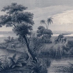 Обои Rasch Lirico 556124