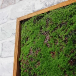 Панно из мха AF мох горный 20х60