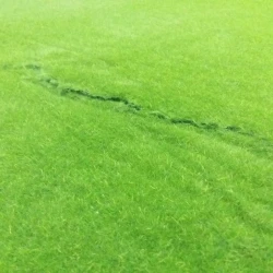 Искусственный мох AF ковровый дизайн №1