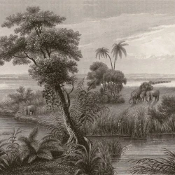 Обои Rasch Lirico 556131