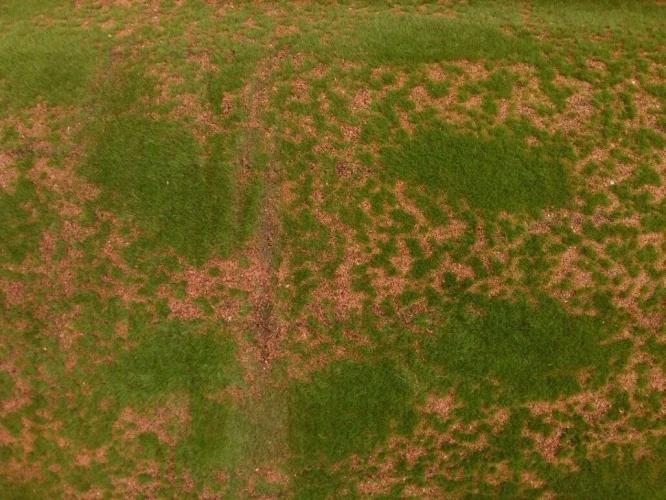 Искусственный мох AF мох в песке дизайн № 3 на otdelka1.ru