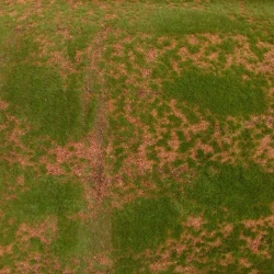 Искусственный мох AF мох в песке дизайн № 3