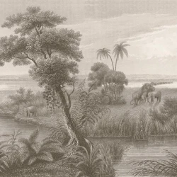 Обои Rasch Lirico 556155