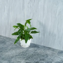 Кварц-виниловый ламинат Alpendorf Мрамор 32001-7 Онис