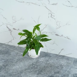 Кварц-виниловый ламинат Alpendorf Мрамор 32001-7 Онис