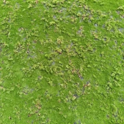 Искусственный мох AF степной дизайн №10