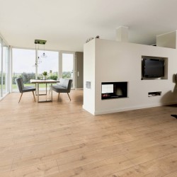 Ламинат Ter Hurne Dureco Strong Classic 2810 Дуб Elba