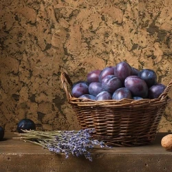 Настенная пробка Коркстайл / Corkstyle Wall design Monte brown