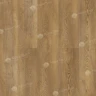 Кварц-виниловый ламинат Alpine Floor Premium 12 ECO 24-2 Дуб Модерн на Otdelka1.ru