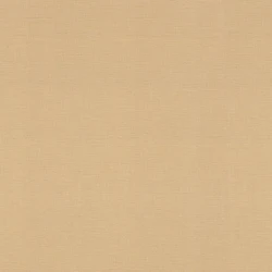 Обои Rasch Amazing 531367