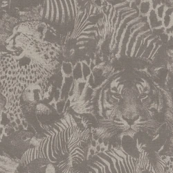 Обои Rasch Kalahari 704730