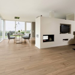 Ламинат Ter Hurne Dureco Strong Classic 2811 Дуб Vadoo