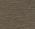 Обои Rasch Curiosity 537055 на Otdelka1.ru