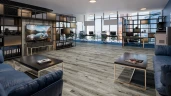 Кварц-виниловая плитка Damy Floor Family клеевая Дуб Состаренный Серый на Otdelka1.ru