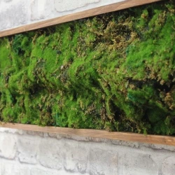 Панно из мха AF мох лесной 20х60