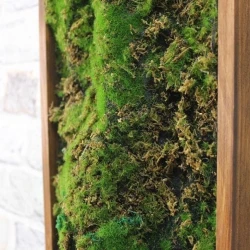 Панно из мха AF мох лесной 20х60