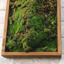 Панно из мха AF мох лесной 20х60