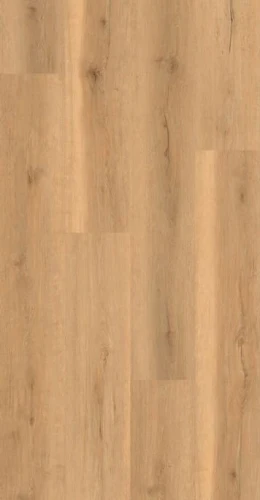 SPC ламинат Evofloor Home Дуб Бежевый на Otdelka1.ru