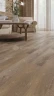 Виниловая плитка Alpine floor Parquet LVT Eco 16-17 Дуб Синистра на Otdelka1.ru