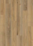SPC ламинат Evofloor Home Дуб Горный на Otdelka1.ru