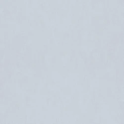 Обои Rasch Kids and Teens III 247442